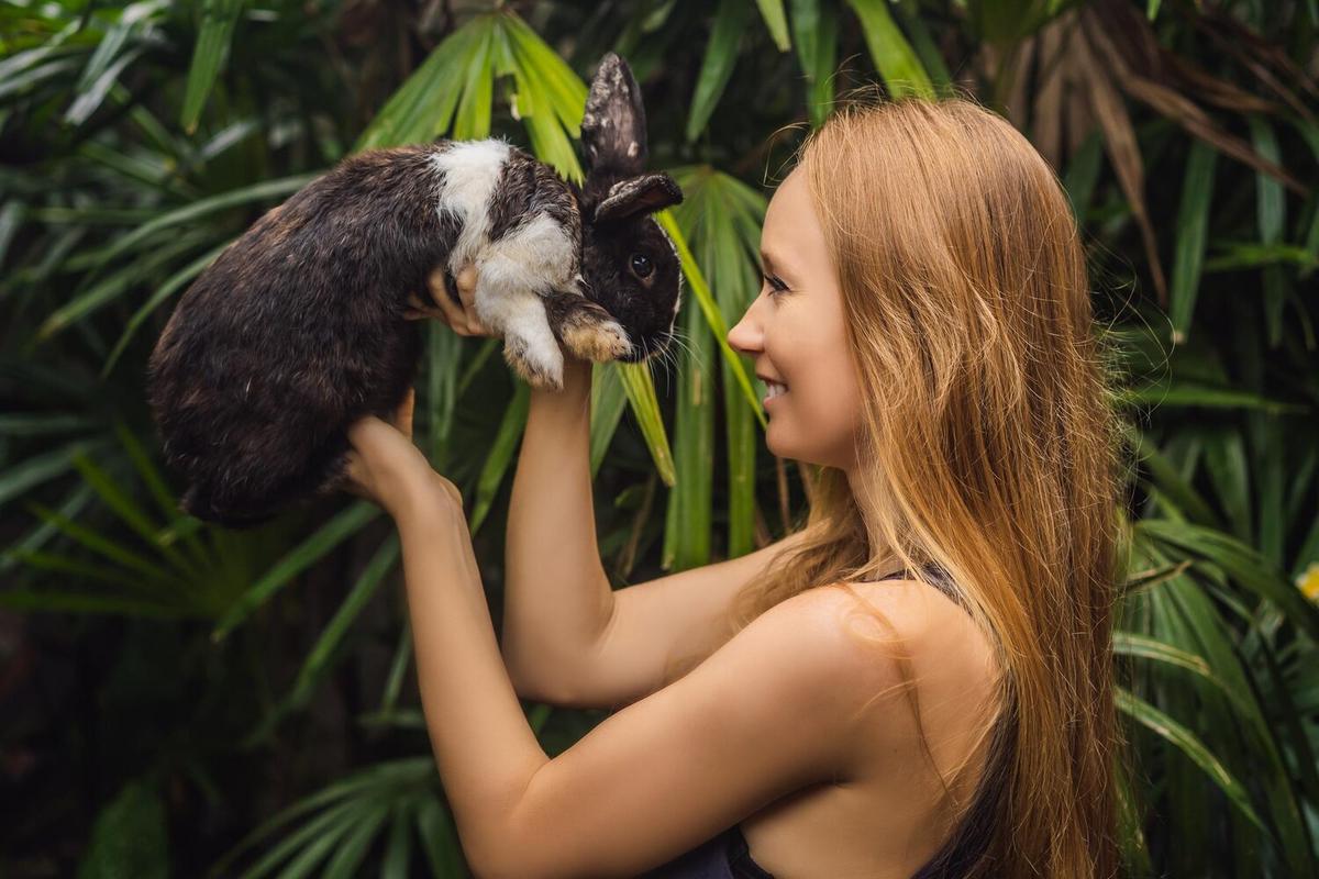 Exotic Pets: Understanding the Legal and Ethical Considerations