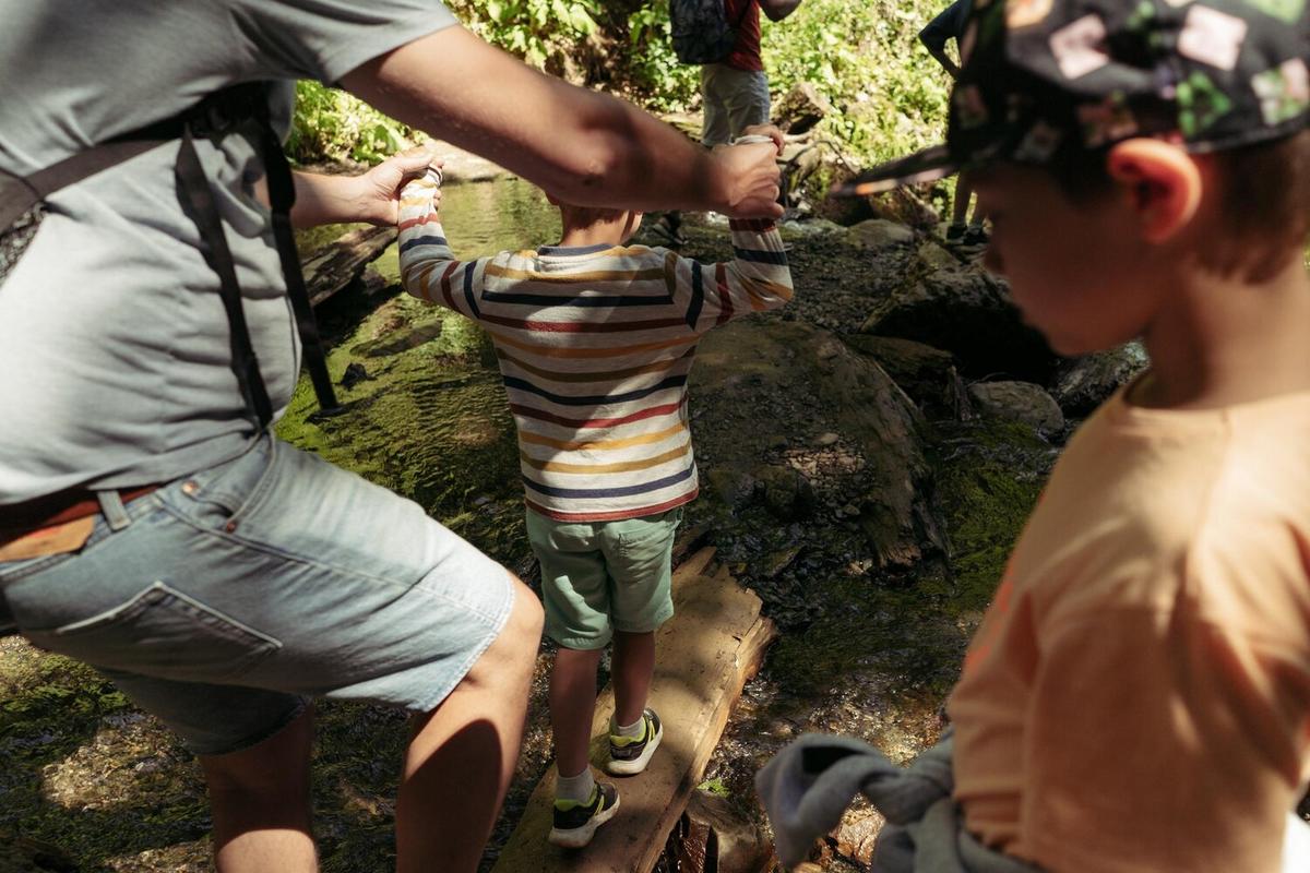 Community Involvement in Wildlife Preservations: How You Can Make a Difference