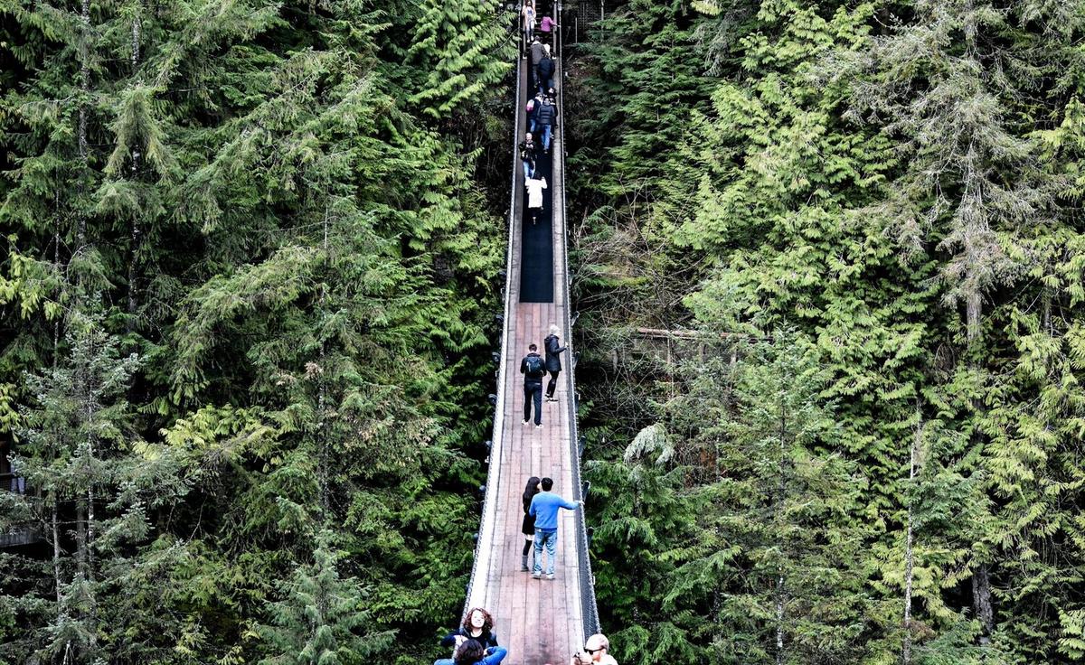 Wildlife Corridors: Connecting Habitats for Wildlife Survival
