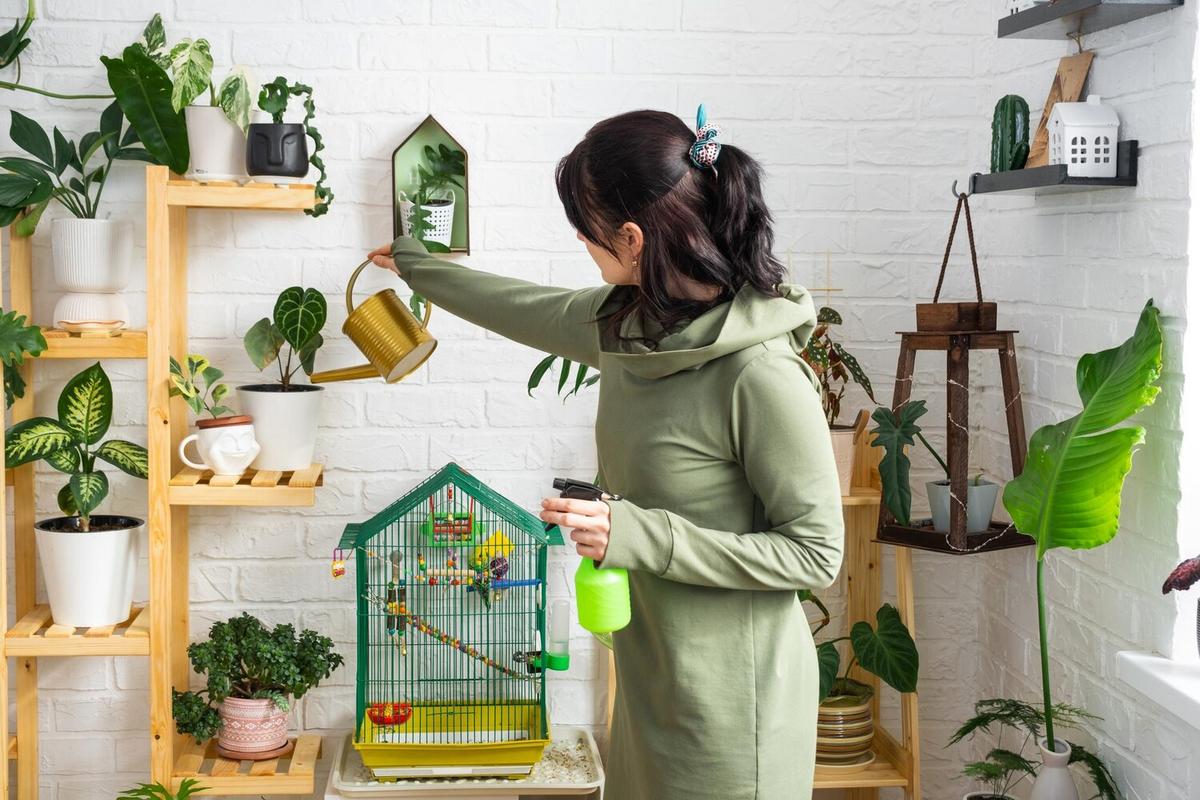 How to Create the Perfect Habitat for Your Exotic Pet
