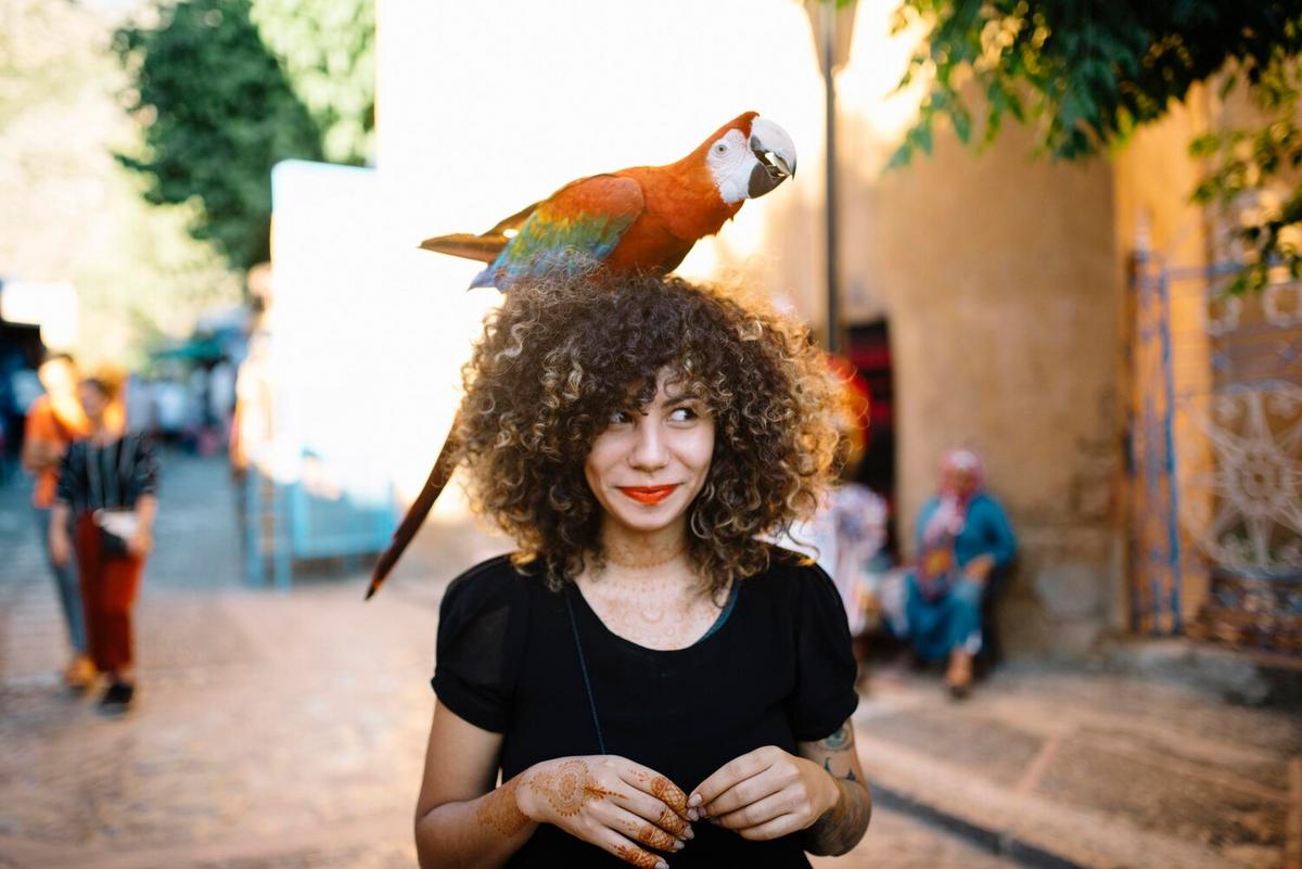Exotic Pet Myths Debunked: Separating Fact from Fiction